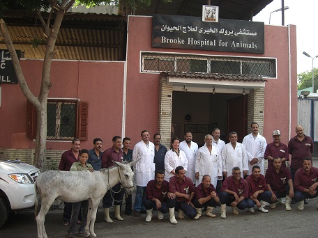 staf Brooke-Cairo voor kliniek